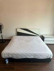 Sunbird Park (D16), Terrace #565670181